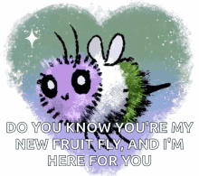 a drawing of a fly with the words do you know you 're my new fruit fly