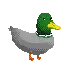 a pixel art of a mallard duck with a yellow beak .