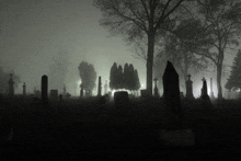 a cemetery filled with graves and trees in the fog