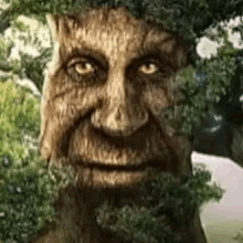 a statue of a man with a beard and a tree growing on his face .