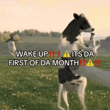 a dog is standing on its hind legs in a field with a deer .