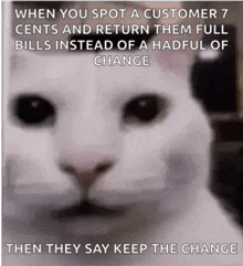 a white cat with a caption that says " when you spot a customer 7 cents and return them full bills