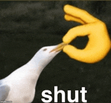 a seagull is being fed by a yellow hand with the word shut written on it .