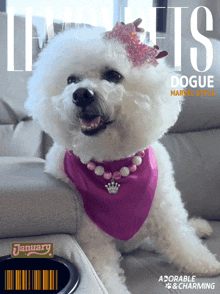 a white dog wearing a pink bandana is on the cover of a january issue of life pets