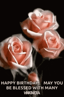 three pink roses on a black background with the words `` happy birthday may you be blessed with many wanda '' .