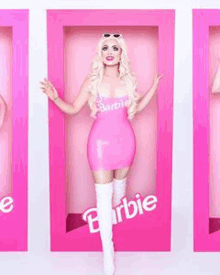 a woman in a pink barbie costume is standing in a pink box .