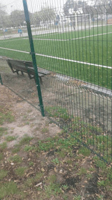 a green fence surrounds a soccer field