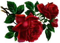 a painting of red roses with green leaves on a white background