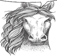 it is a black and white drawing of a horse 's head with a long mane .