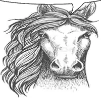 it is a black and white drawing of a horse 's head with a long mane .