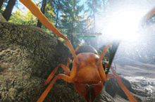 an ant in a video game is named queen providence and lyn