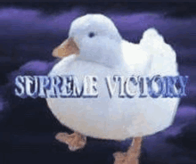 a white duck with the words supreme victory on it