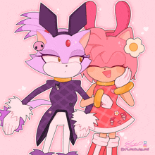 blaze the cat and amy the hedgehog are standing next to each other on a pink background