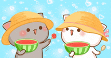 two cartoon cats wearing hats are eating watermelon together