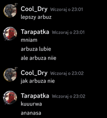 a screenshot of a conversation between cool dry tarapatka and ananasa