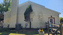 a house with a tree growing out of the side