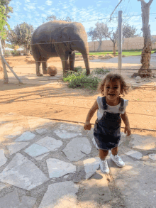 a little girl stands in front of an elephant in a zoo enclosure