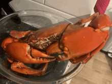 a large red crab is sitting in a bowl of water