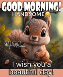 a squirrel is sitting on a tree branch with the words good morning handsome i wish you a beautiful day