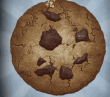 a close up of a chocolate chip cookie with the number 74 on it