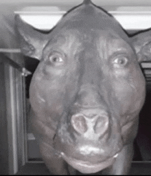 a black and white photo of a statue of a cow