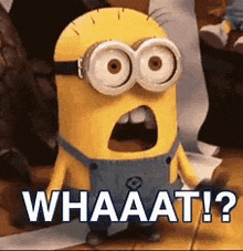 a minion with a surprised look on his face and the words `` whaaat ! '' .