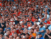 a crowd of people in a stadium with one man wearing a red shirt that says ' fc ' on it