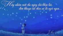 a boy is standing in a field looking up at the night sky .