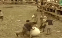 a group of people are fighting a sheep in a field in a black and white photo .