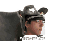 Wilco Koe Meme