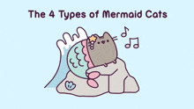 a cartoon of a mermaid cat with the words the 4 types of mermaid cats