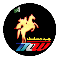 a logo with a man on a horse holding a flag and the letters ttow