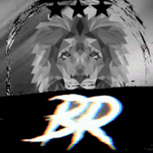 a black and white photo of a lion with the letter r in the foreground