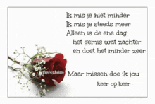 a greeting card with a red rose and a quote in a foreign language