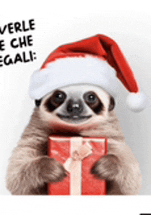 a sloth wearing a santa hat is holding a red gift box .