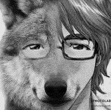 a black and white drawing of a man with glasses and a wolf in the background .