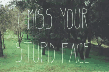 a picture of a forest with the words " i miss your stupid face " written on it