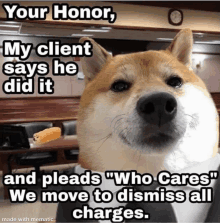 a dog wearing a suit and tie says " your honor "