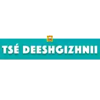 a blue sign that says ' tse deeshgizhnii ' on it