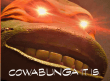 a close up of a cartoon character with the words cowabunga it is written below it