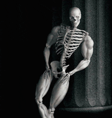 a skeleton with muscles and a skull is leaning against a stone column .