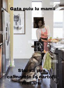 a picture of a woman cooking with a dog in the kitchen