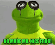 kermit the frog is wearing a mask with black eyes and says `` no more mr. nice frog '' .