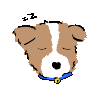 a brown and white dog with a blue collar is sleeping with a zzz sign above its head