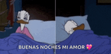 a cartoon of donald duck laying in bed with the words buenas noches mi amor below him