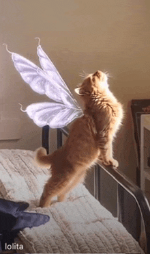 a cat with fairy wings standing on a bed