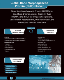 an advertisement for global bone morphogenic protein bmp market