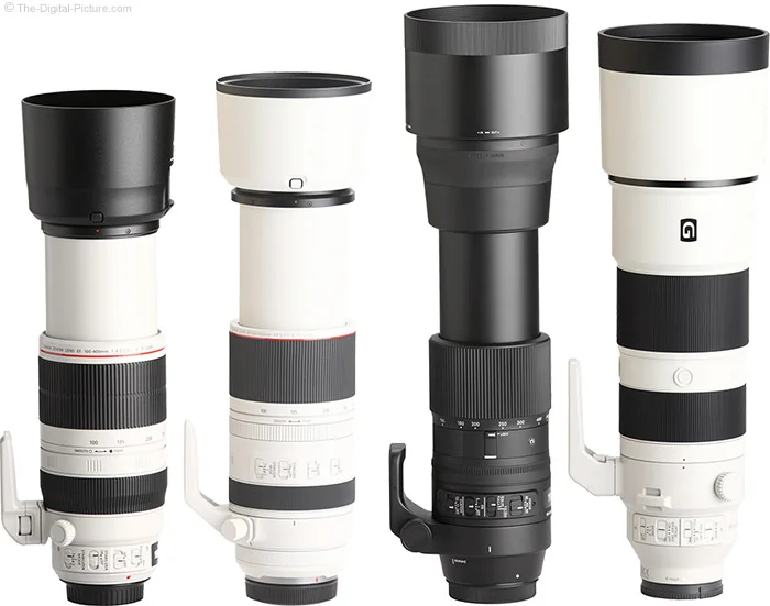 Canon RF 100-500mm F4.5-7.1 L IS USM Lens Compared to Similar Lenses with Hoods