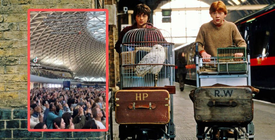 Harry Potter fans at King's Cross: Can I suggest you get a life?