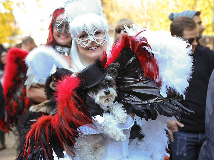 Spooky cuteness overload! The 30 best photos from the Halloween Dog Parade